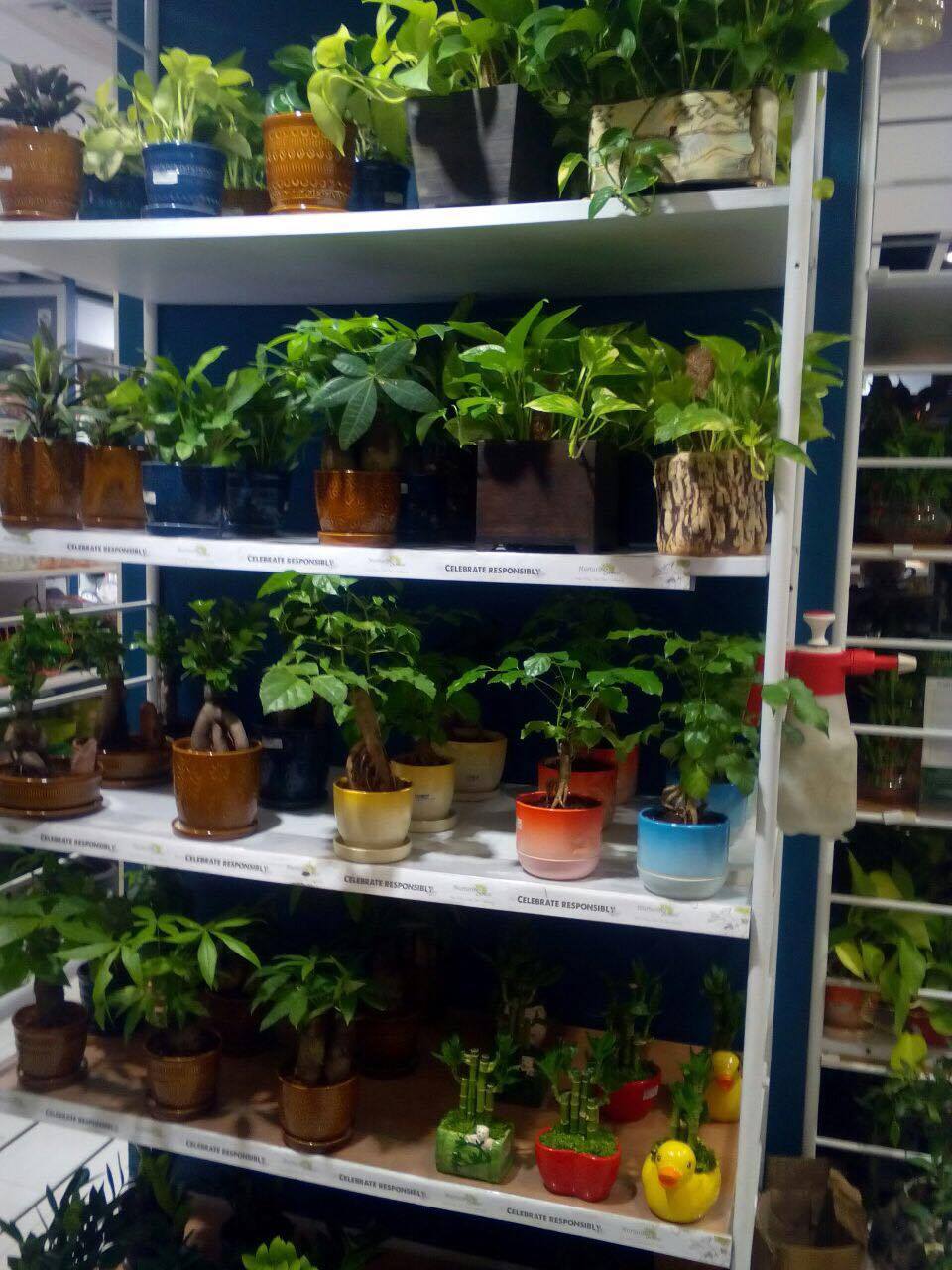 14646833_10154635283450909_338572015_o