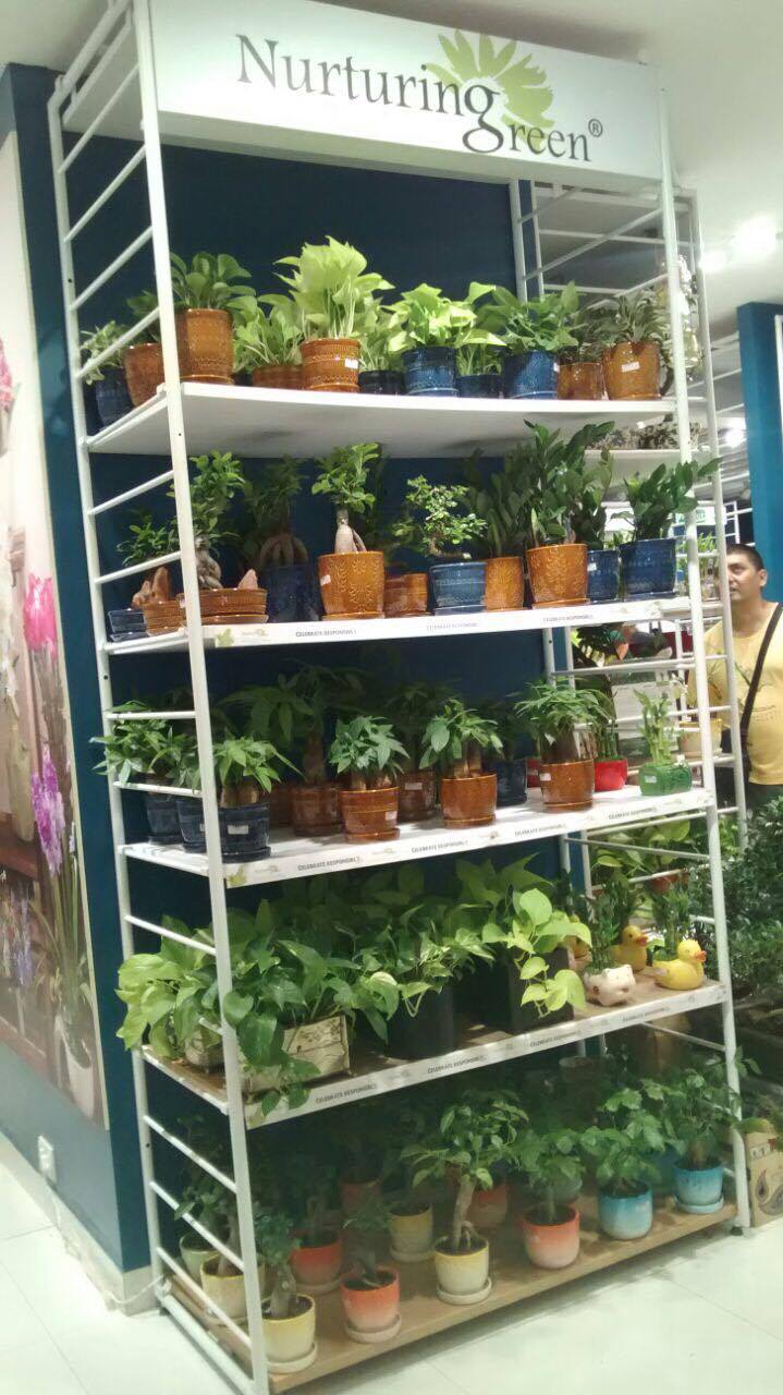 14677920_10154635283470909_1672268297_o