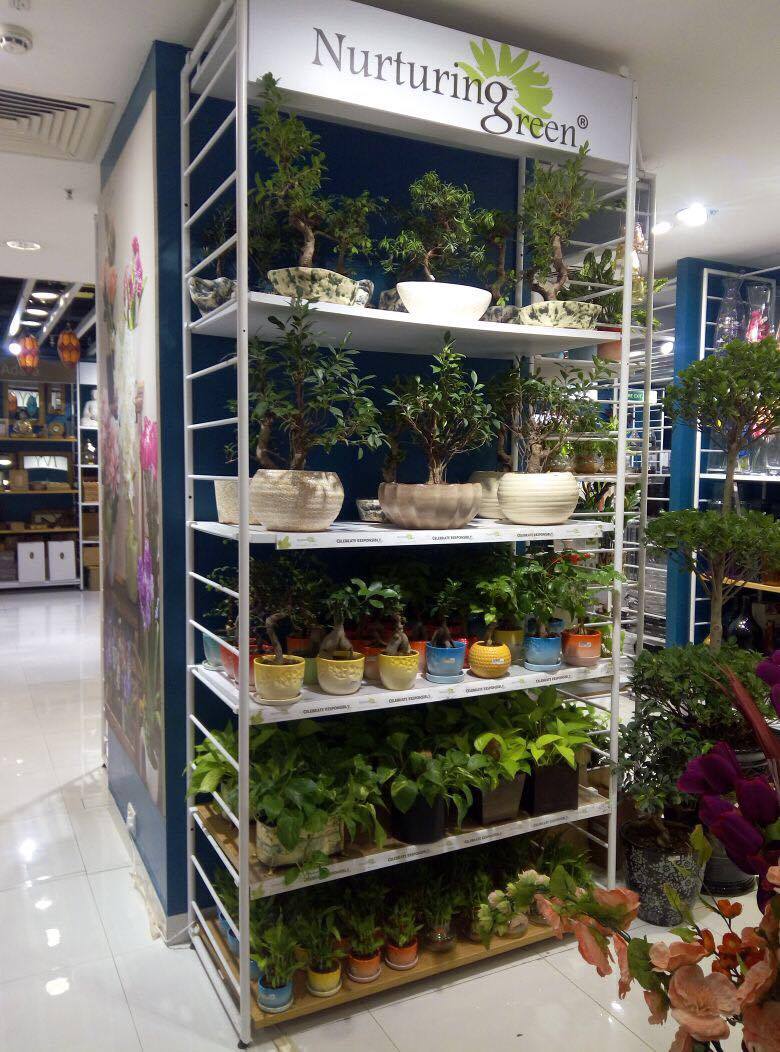 14689268_10154635283430909_604611270_o