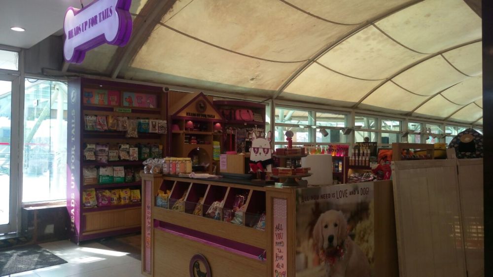 whatsapp-image-2016-10-11-at-12-20-52-am