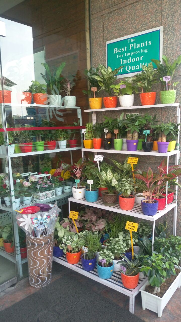 whatsapp-image-2016-10-11-at-12-24-32-am