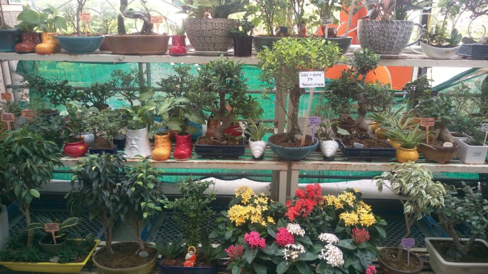 whatsapp-image-2016-10-11-at-12-24-33-am