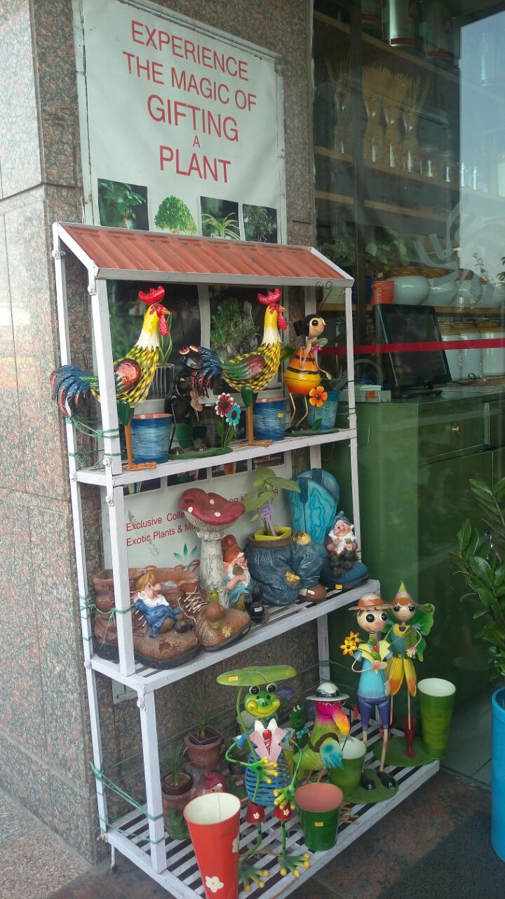 whatsapp-image-2016-10-11-at-12-24-36-am