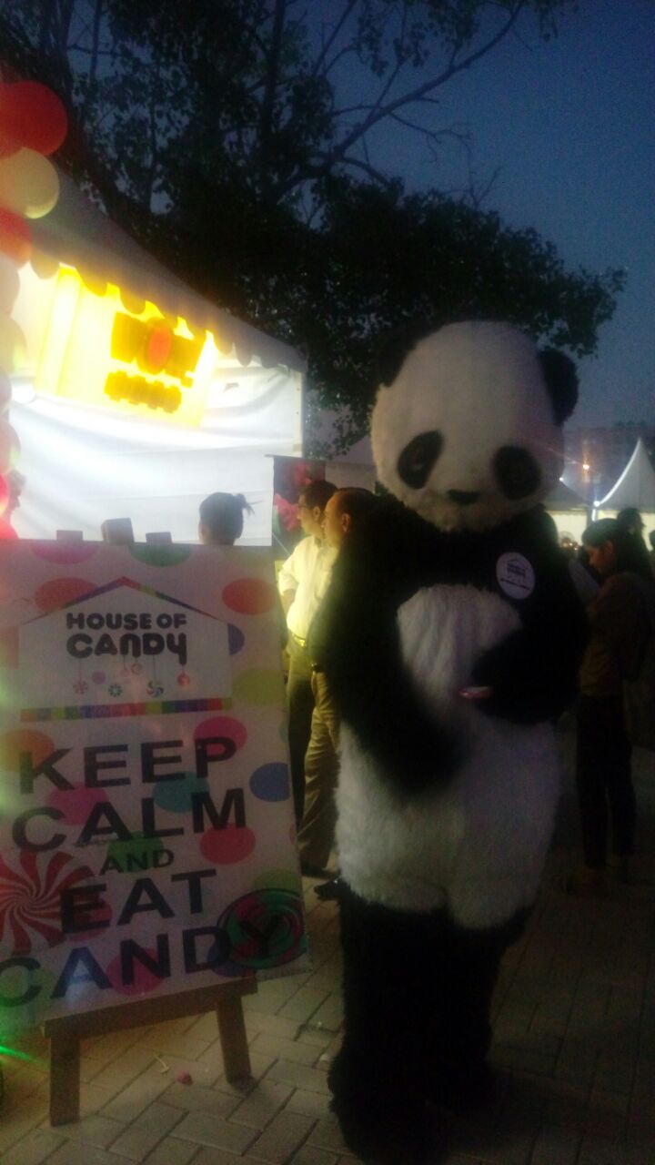 whatsapp-image-2016-10-14-at-11-14-39-pm