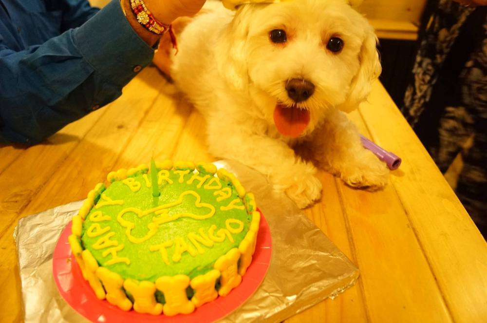 14068541_335744936764373_8414433362967908518_o