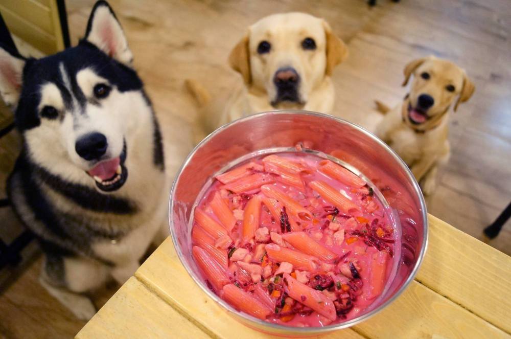 14468378_353299115008955_5124552715503206946_o