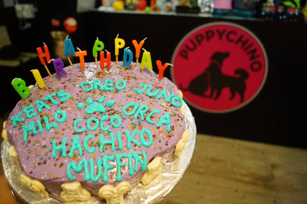 14682047_360632294275637_942468249233328838_o