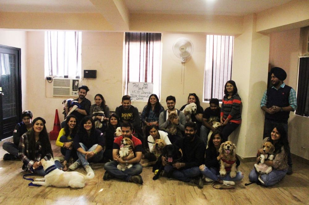 puppychino-group-pictrue