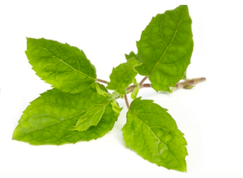 screen-shot-2016-11-07-at-10-34-07-am