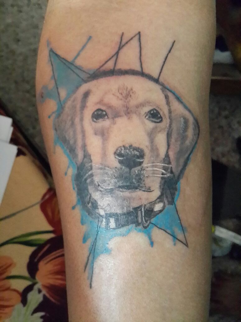 whatsapp-image-2016-11-20-at-10-18-03-am