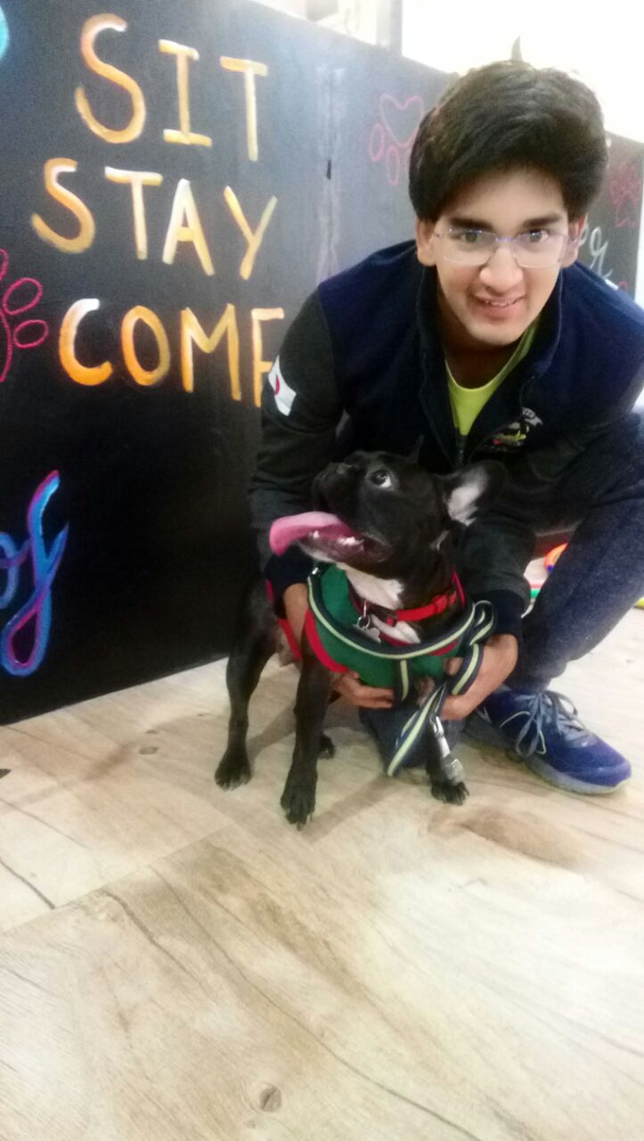 whatsapp-image-2016-11-20-at-12-05-06-pm-4