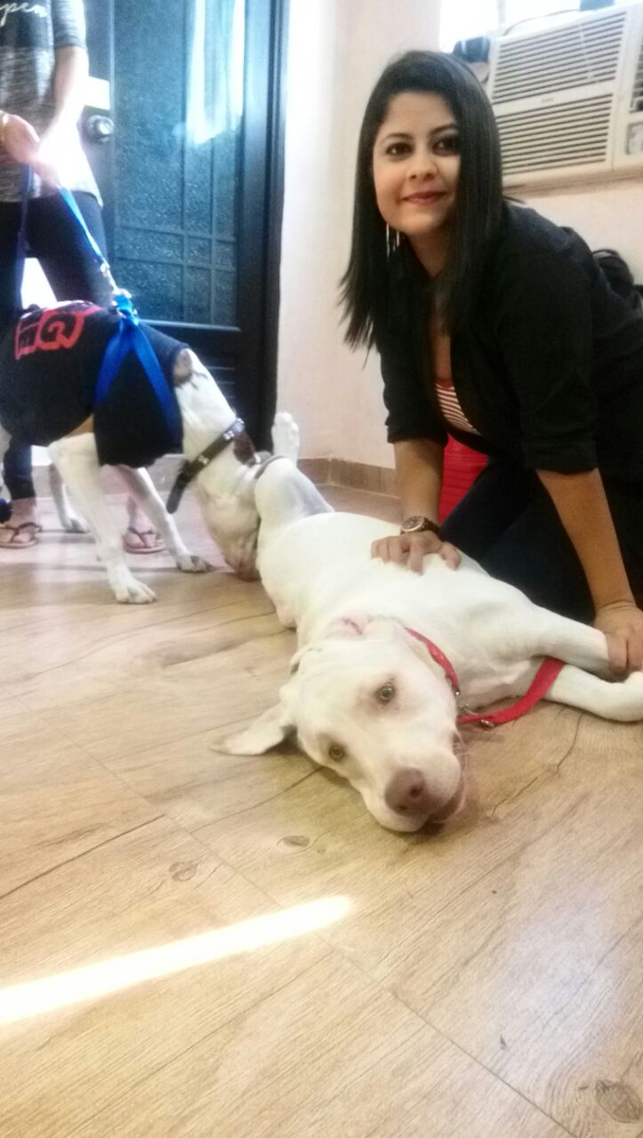 whatsapp-image-2016-11-20-at-12-05-06-pm-6