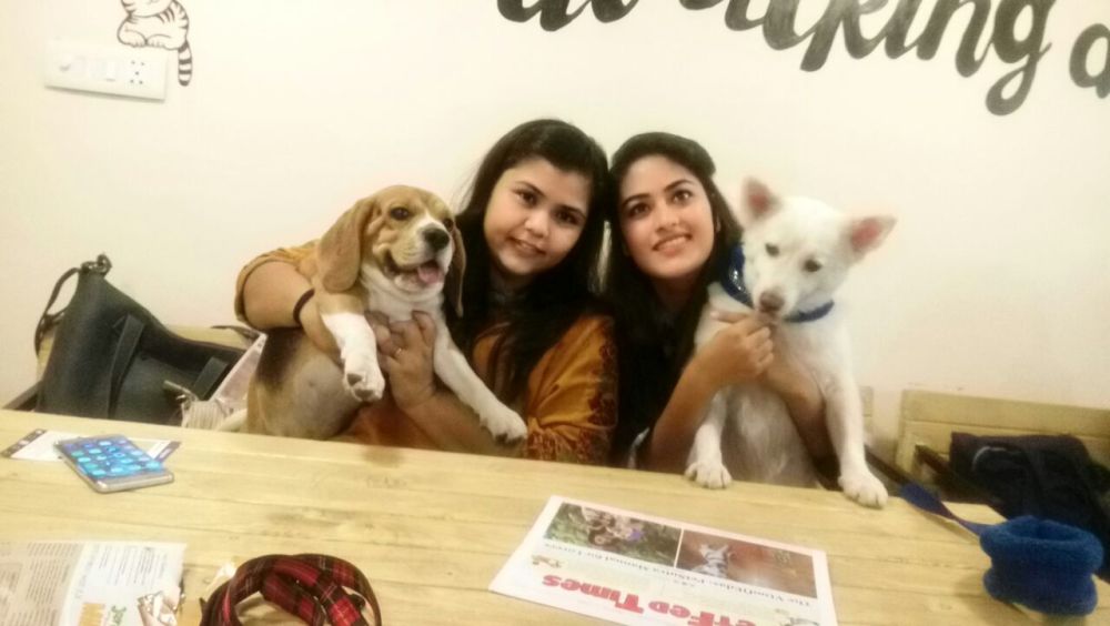 whatsapp-image-2016-11-20-at-12-43-53-pm