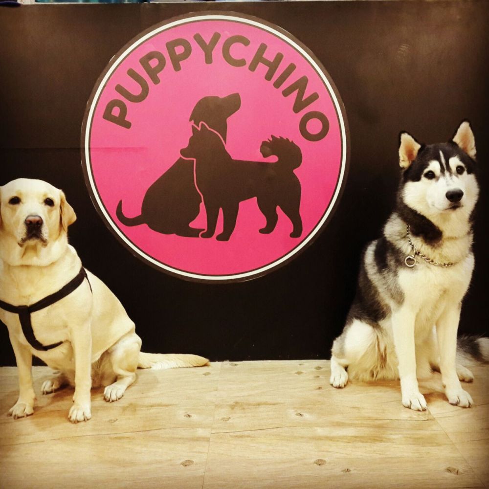 whatsapp-image-2016-11-20-at-2-10-33-pm