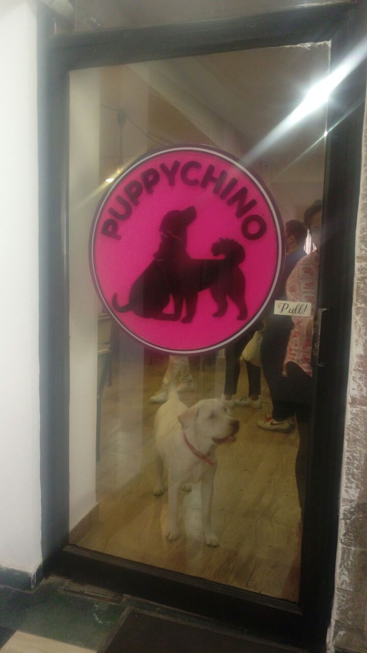 whatsapp-image-2016-11-20-at-2-51-47-am-4