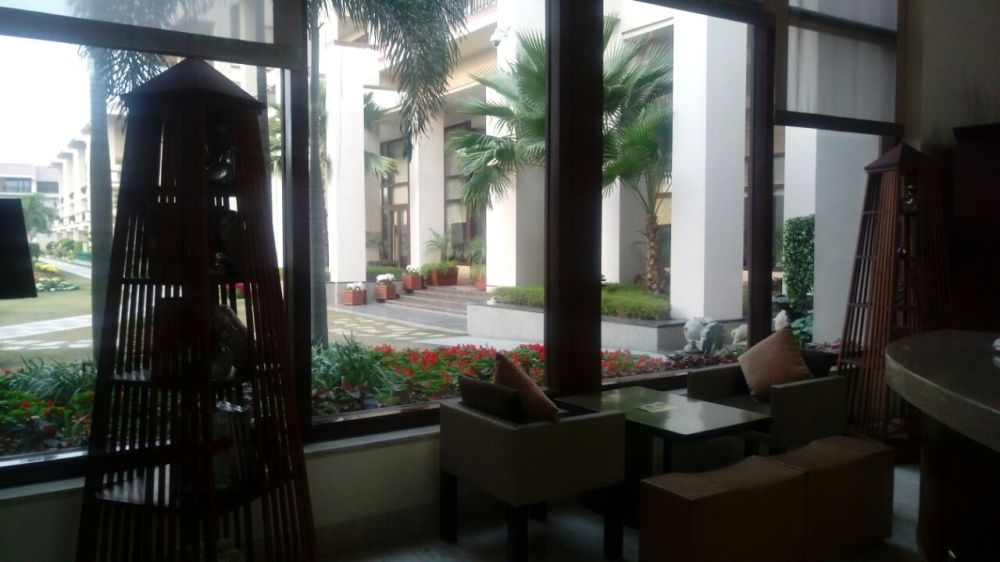 whatsapp-image-2017-01-03-at-11-32-46-pm