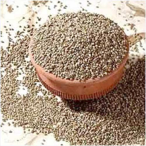 dried-bajra-seeds-500x500.jpeg