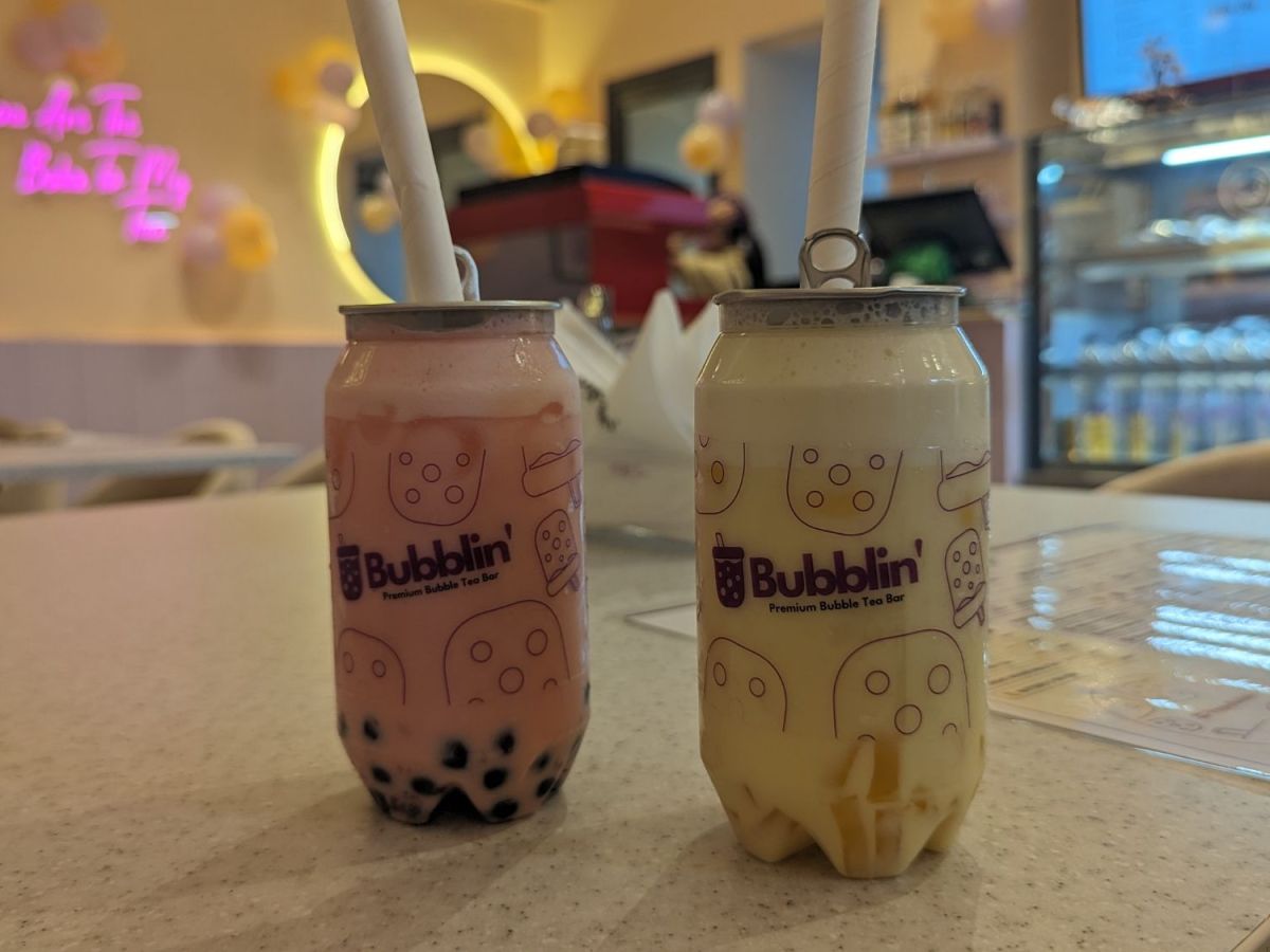 Best BOBA Tea and the Cheesiest Dish Ever at Bubbelin Noida